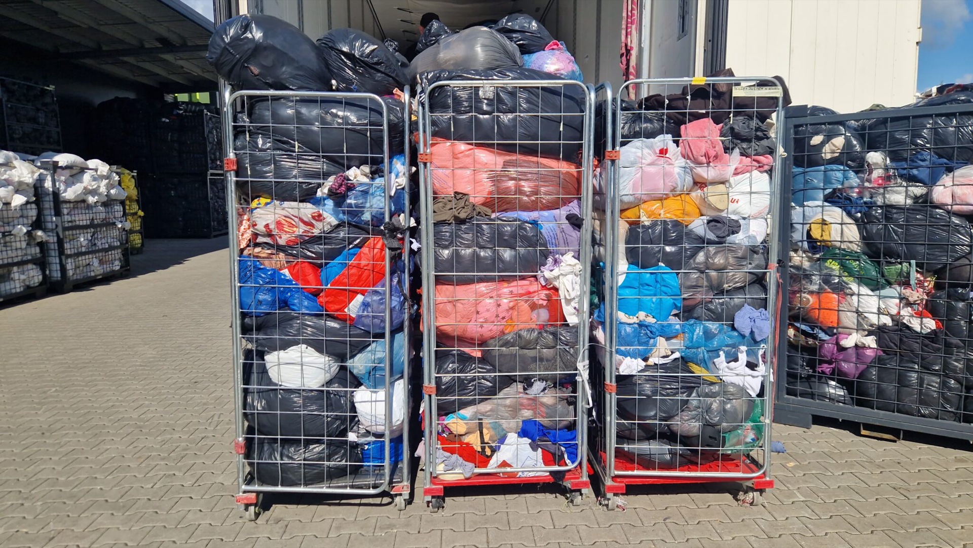 Walia (Zbiórka kontenerowa): nowa dostawa 11.08.2026, zdjęcie 3